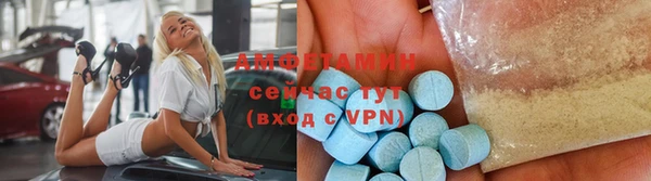 крисы Бородино