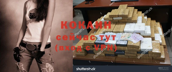крисы Бородино