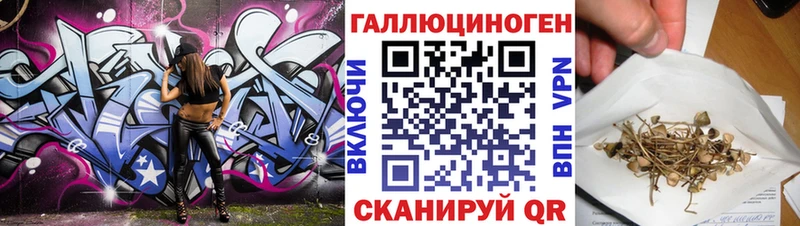 Купить где  Лосино-Петровский  Псилоцибиновые грибы Cubensis 