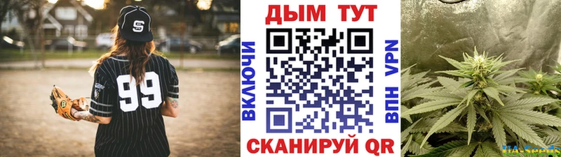 Шишки марихуана планчик  Купить закладки  Лосино-Петровский 